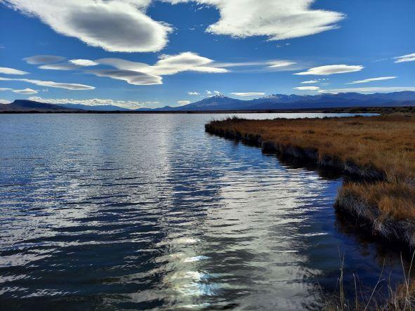 Borax Lake Chub Project