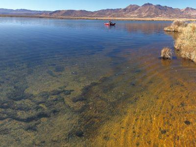 Kayak on Borax Lake, placing traps