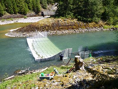 Floating Weir