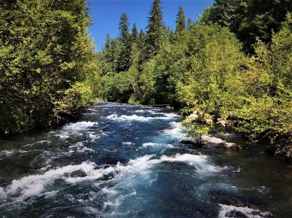 Middle Fork of the Willamette River