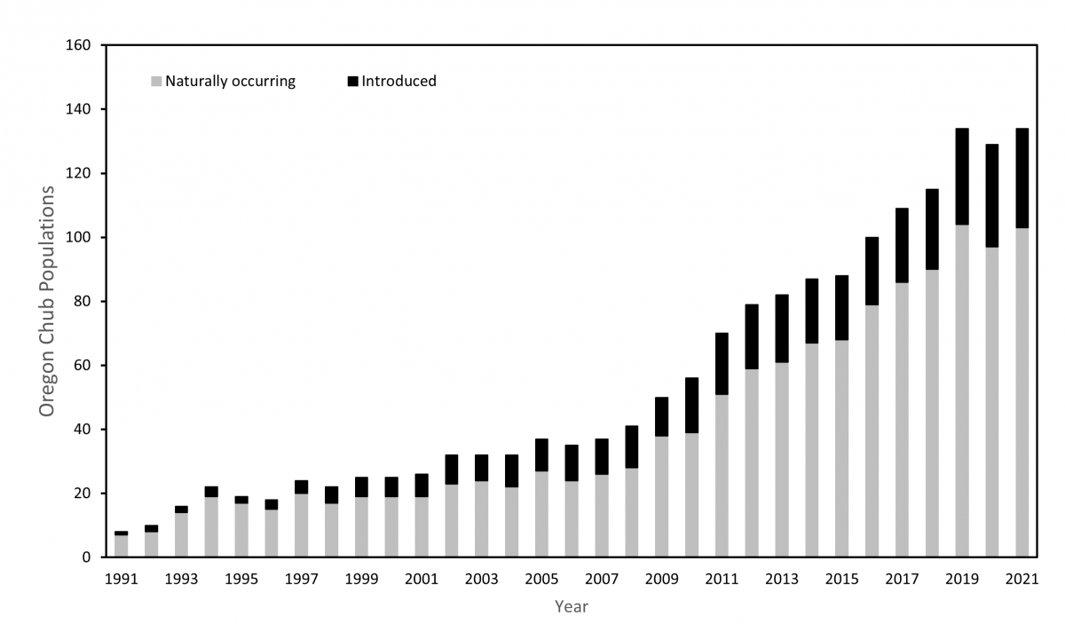 Graph of Oregon Chub Populations_2021