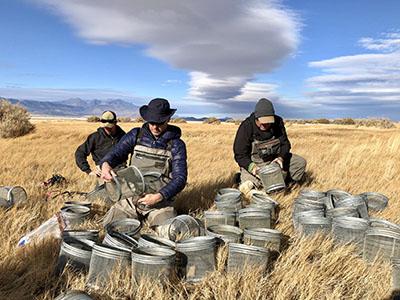 Preparing minnow traps