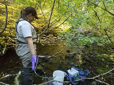 collecting eDNA